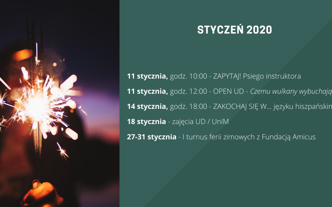 Plan na styczeń 2020