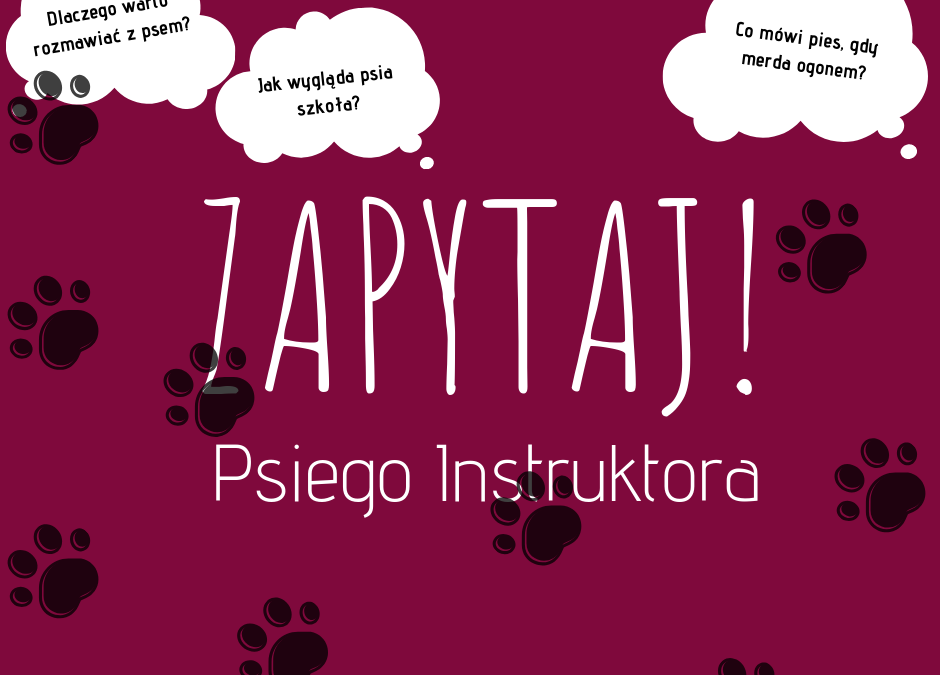 ZAPYTAJ! Psiego instruktora