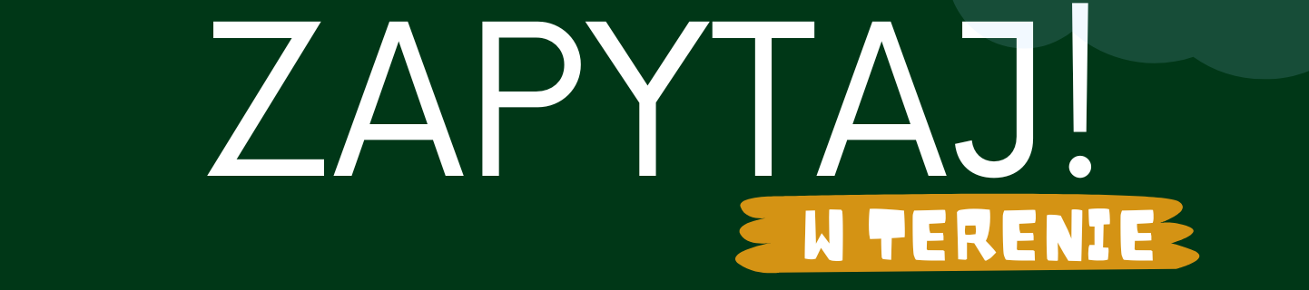ZAPYTAJ